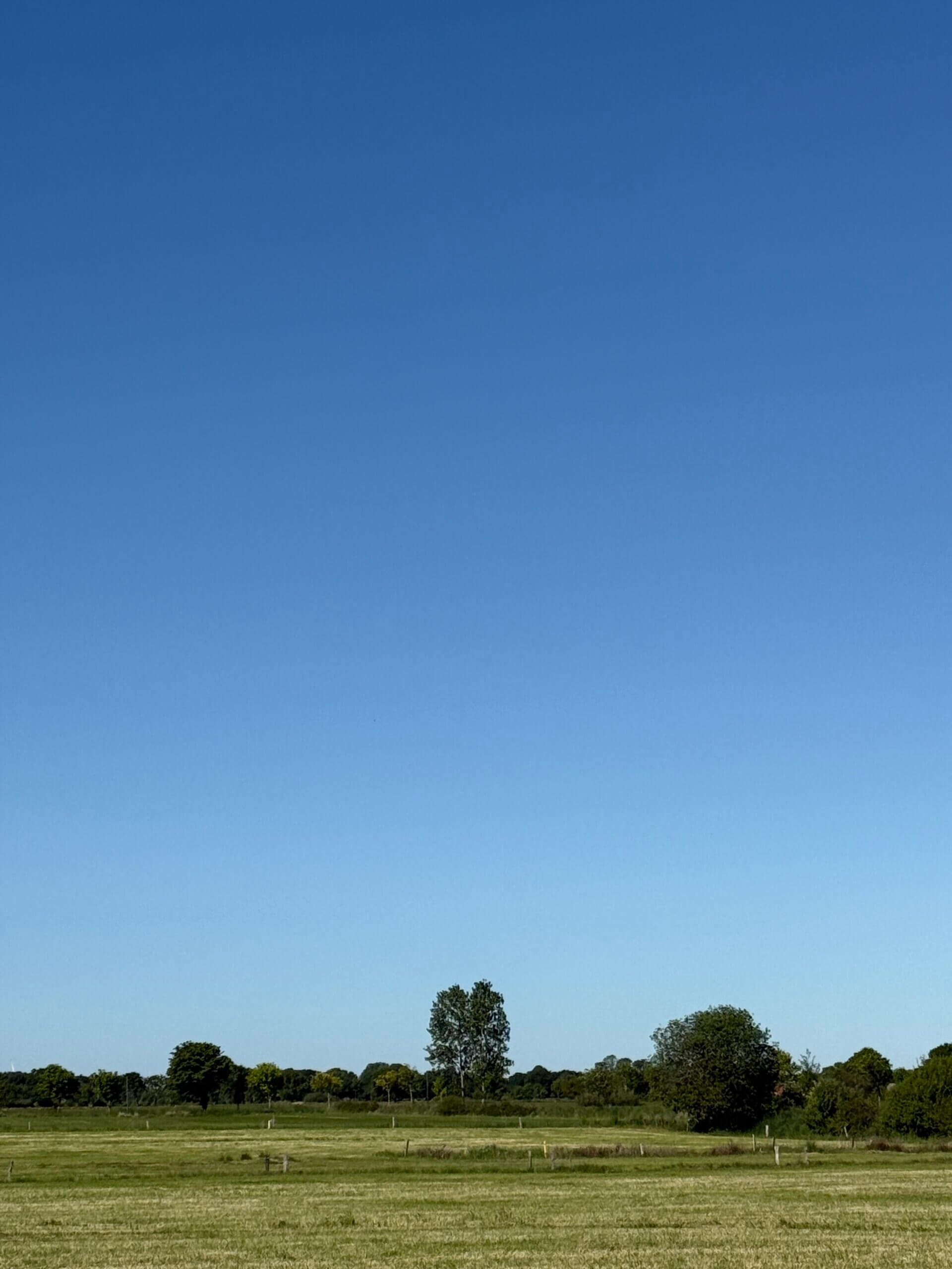 Gemüsewetter Juni 2025