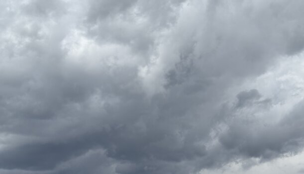 Gemüsewetter Mai 2025