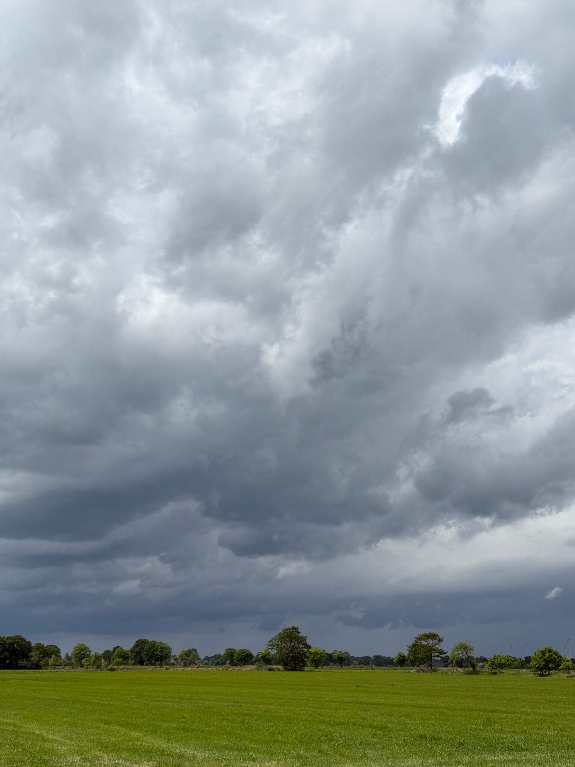 Gemüsewetter Mai 2025